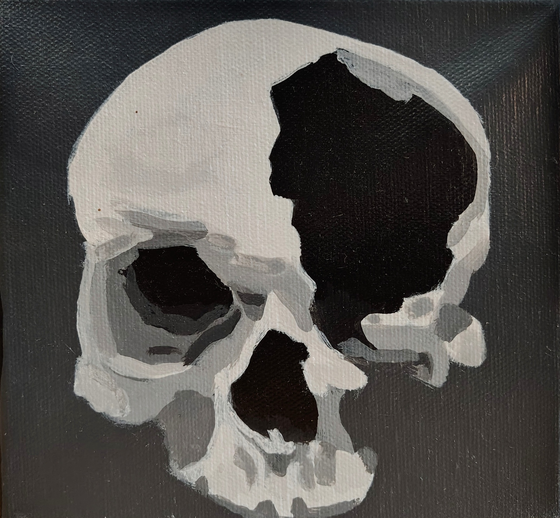 Skull Profile — Mini