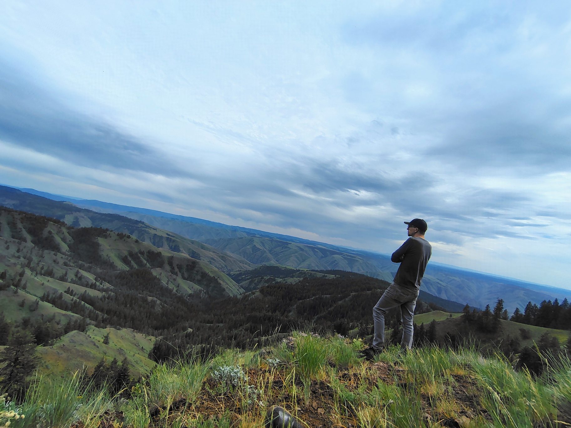 The artist looking out over Hells Canyon